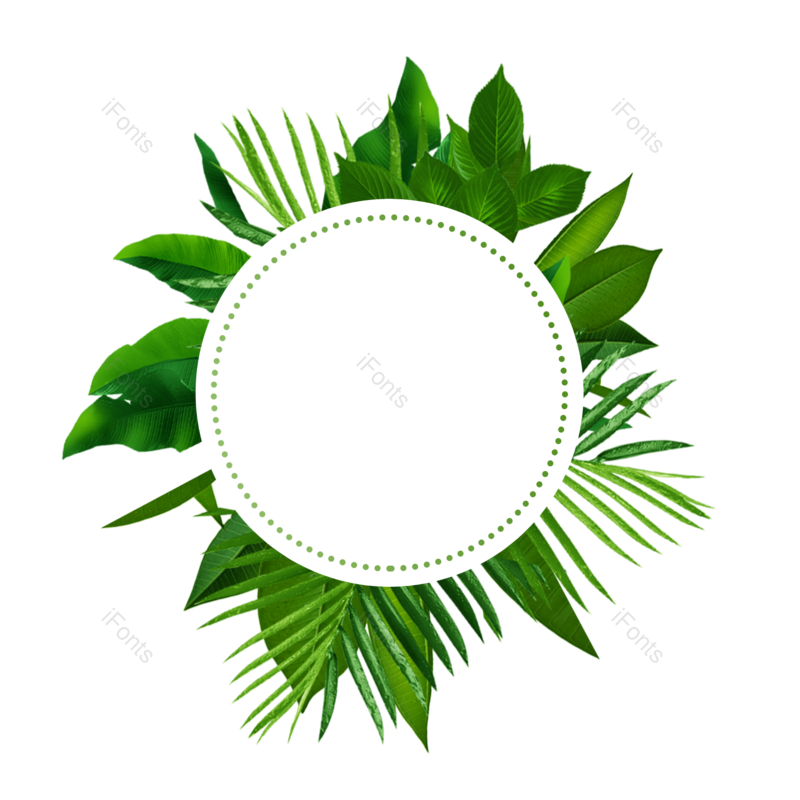 叶子图片,边框元素,树叶PNG,春季免抠素材